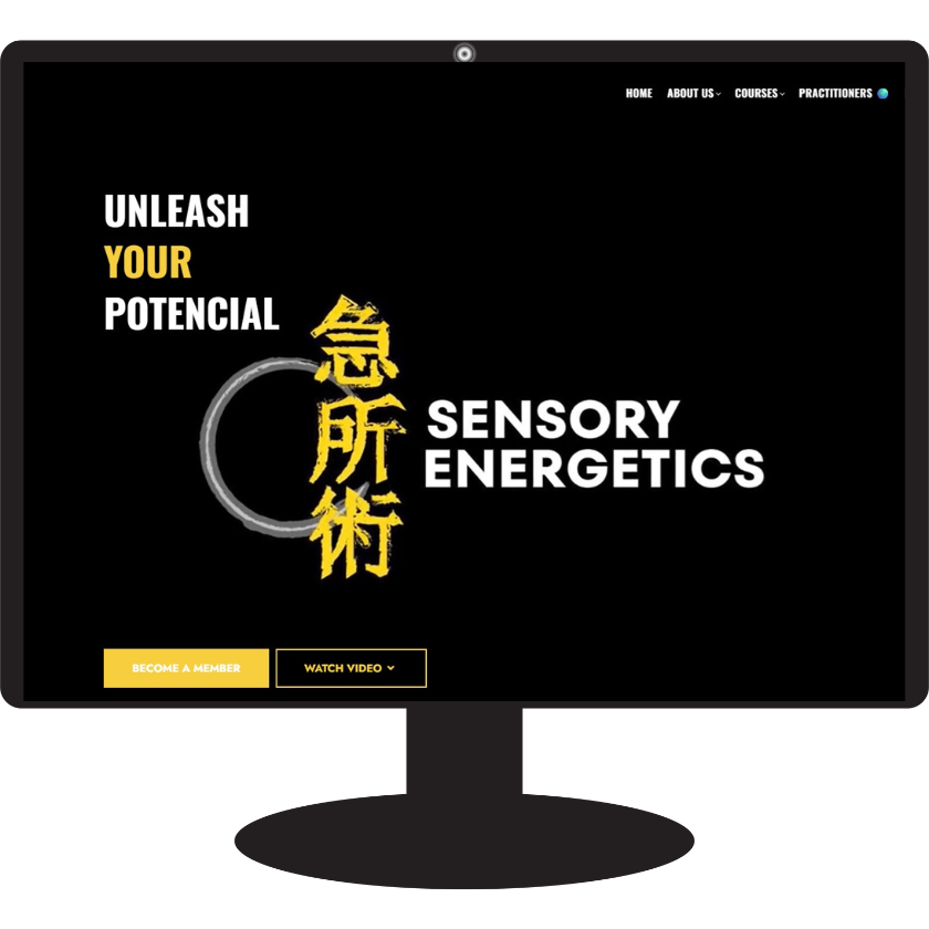 Sensoryenergetics.com